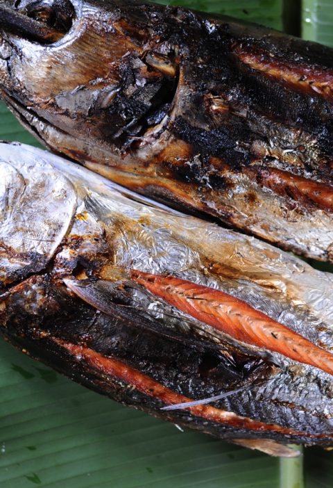 Ikan Asar Papua